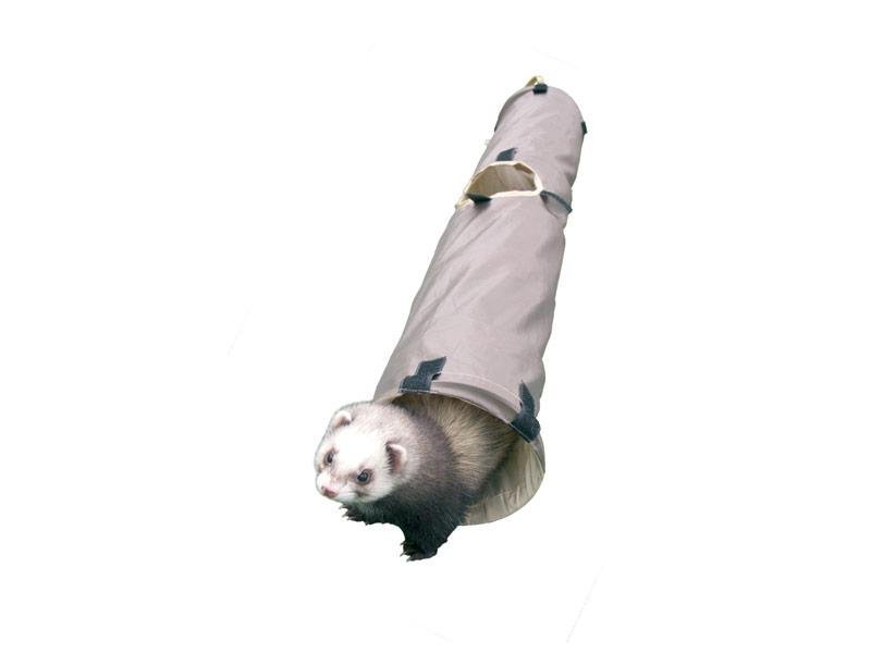 Ferret Health